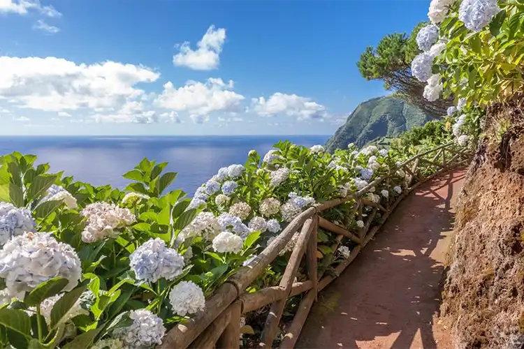 Eilandhoppen Azoren São Miguel, Terceira, Pico en Faial.