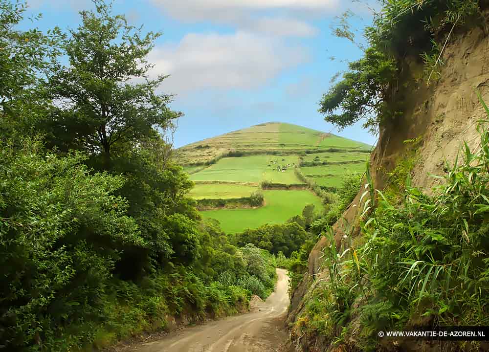 Groene heuvels de Azoren
